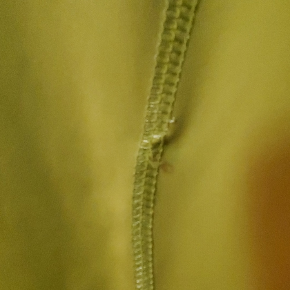 Active pullover - Picture 3 of 5